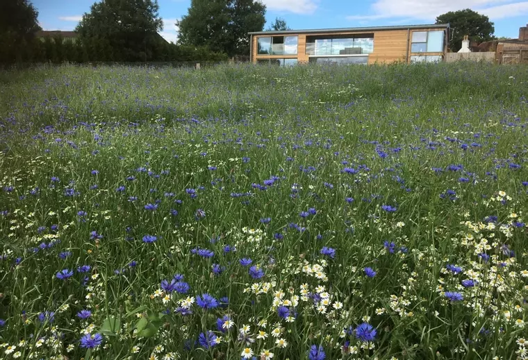 Significant biodiversity enhancements